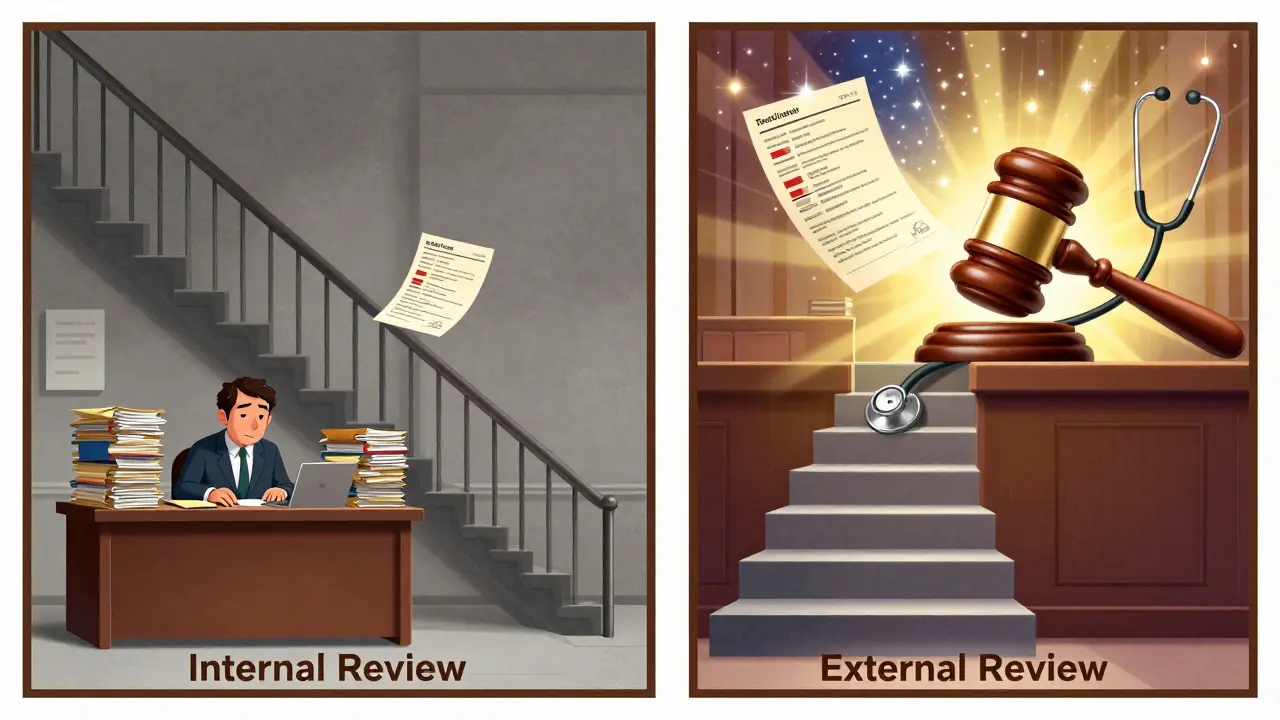 A staircase shows internal and external appeal stages, with medical records glowing like stars under a stethoscope gavel.